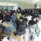 Image for article titled People Are Lining Up For Hours To See The 3DS (And Play A 13 Year-Old Game)